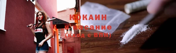 гашик Арсеньев