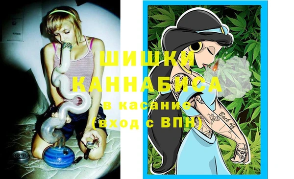гашик Арсеньев