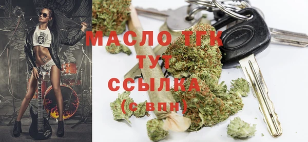 сатива Аркадак