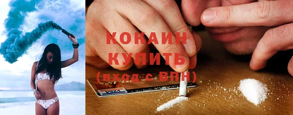 гашик Арсеньев