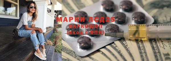 сатива Аркадак